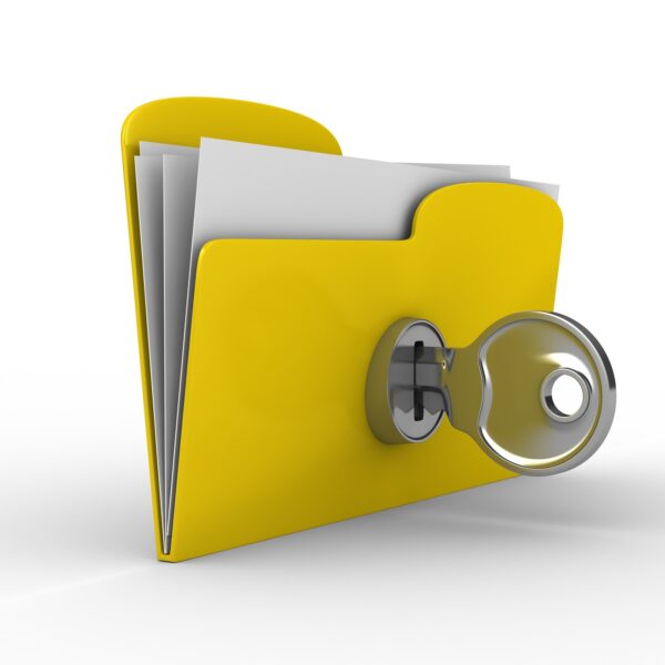 ACCESSO AGLI ATTI AMMINISTRATIVI